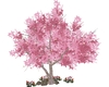 Spring Kissing tree