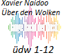 Xavier Naidoo-Über den
