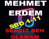 MEHMET ERDEM