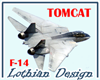 [LJSG] F-14 Tomcat