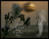 IN MY THOUGHTS ALWAYS..