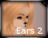 -CINN- Ears 2