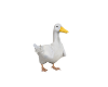 Duck Pet