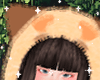 ♡ Hat Fur Cat
