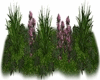 D;Garden Flowers roses