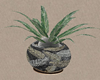 Plant Radio