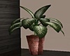 Tropical Vase