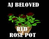 AJ BELOVED RED ROSES