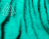 △ Tail Cat Teal