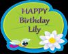 Lily birthday sign