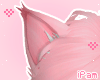 p. nekore ears