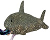 toy shark + 4 poses