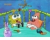 Sponge and Pat