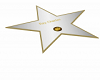 Star Ray Charles