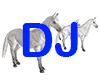 [ZC] DJ White Horses
