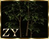ZY: Garden Trees