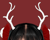 ϻ𝐳.Xmas Reindeer