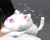 White Shoulder Kitten