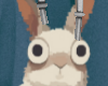 WTF - Bunny