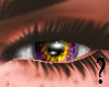 SF- Purple Orange Eye F