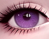 Beautiful Eyes