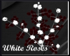 Eternal  Whi/red Roses