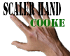✌ Hand Scaler 225%