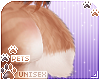 [Pets] Nutmeg | tail v7