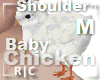 R|C Baby Chick White M