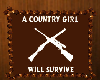 Country Sign 00