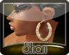 *MSB* Gold earrings2