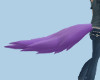 Purple Tail/SP