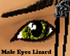 Male eyes Lizard Green