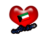 {L}Kuwait Sticrz Flag