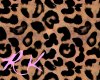 [RK] Ribs ; Leopard