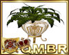 QMBR Plant Baroque
