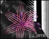*LamB*Pinkstripes lily