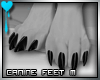 D~Canine Feet:Black M