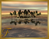F: Paradise Island