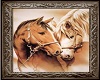 Horses Love