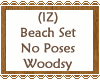 Beach Set No Pose Woodsy