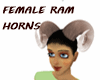 FEMALE RAM HORNS