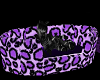 ⓅPurple Pet Bed