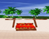 BEACH BED  NP