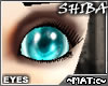 Shiba - Eyes