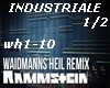 RAMMSTEIN- INDUST-1/2