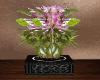 potted flower1