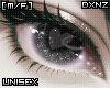 死 006 Night