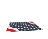 SWS 4th of July Blanket