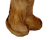 Fur Baby V2 5/5